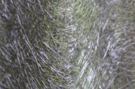 Mitchel Troy fibreglass roof work